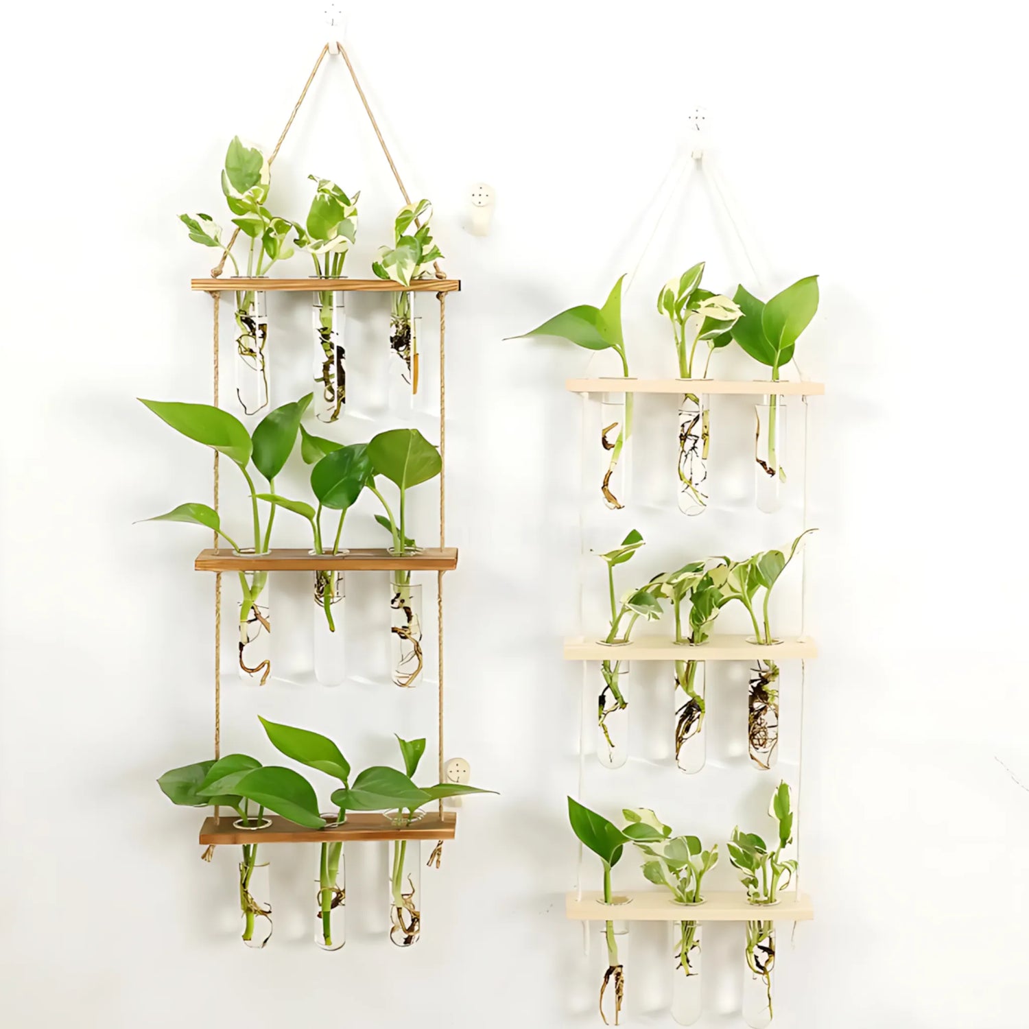 Hanging test tube vase