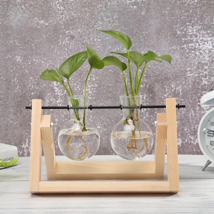 Elegant Plant Glassware NZ 