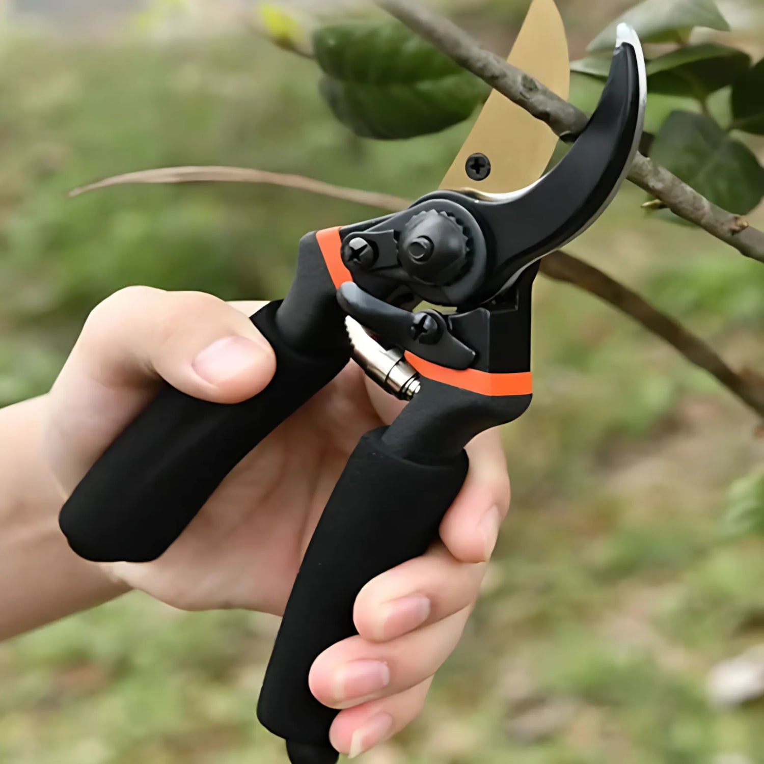 Sharp garden shears