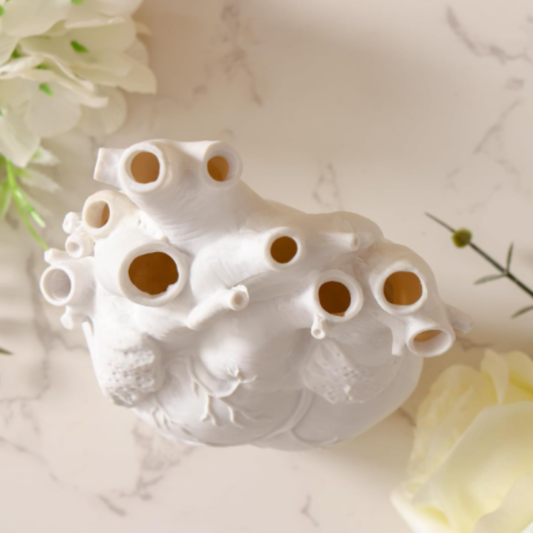 anatomical heart vase