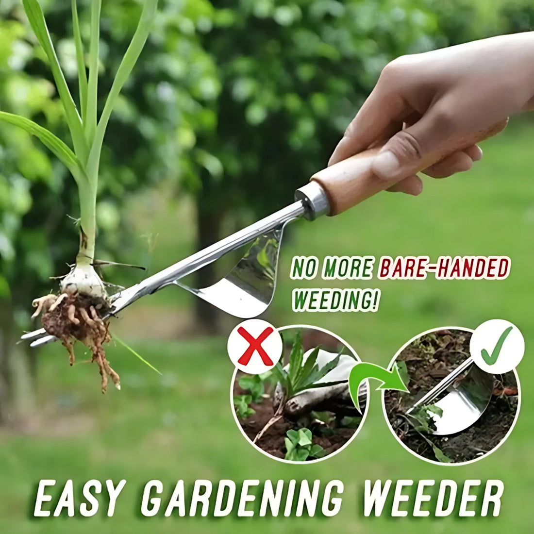 Weed removal tool