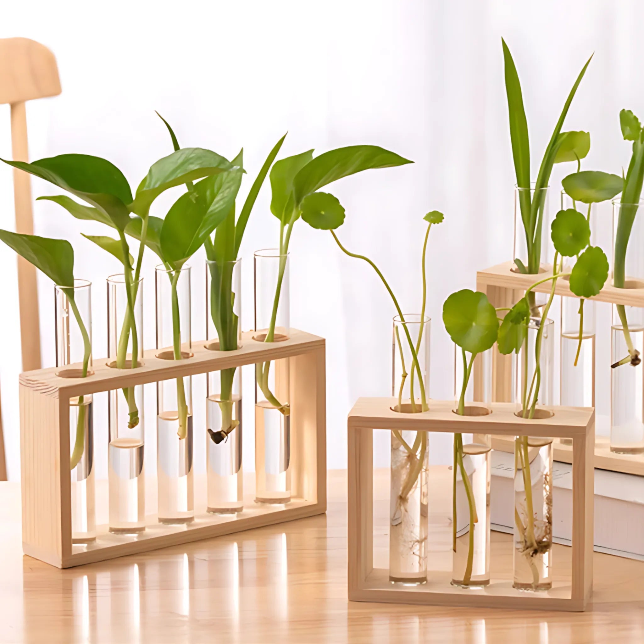 Test Tube Flower Vases