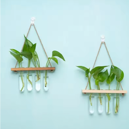Hanging Glass Test Tube Propagation Vase – Wooden Frame (4 Tubes) - Clearance