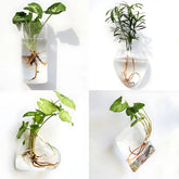 Decorative Terrarium