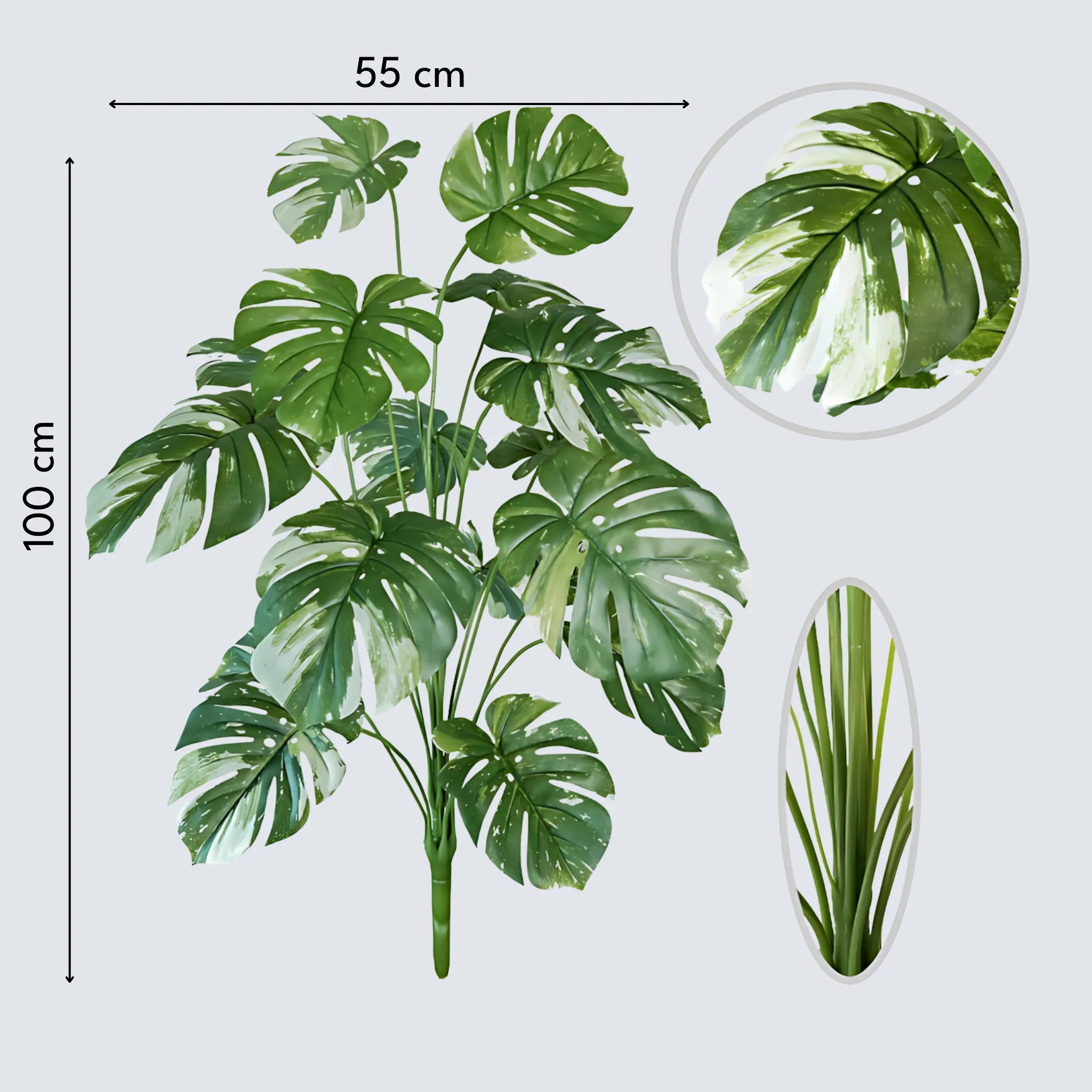 Monstera Branch for Home Décor