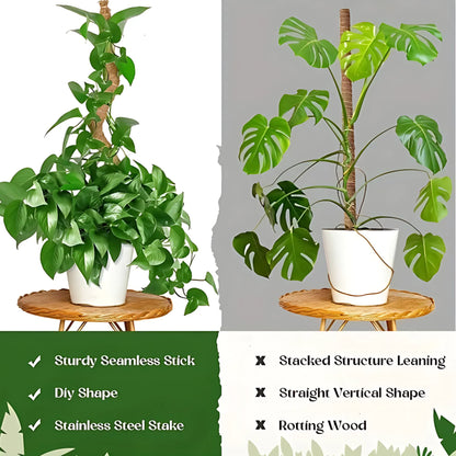 Indoor Plant Stakes