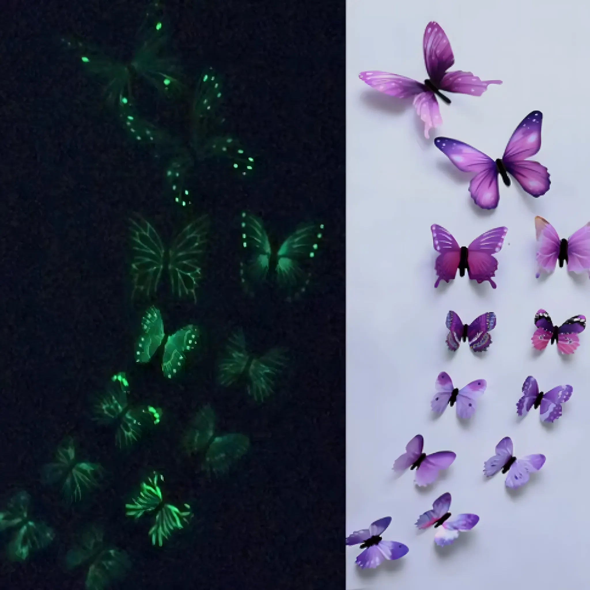 Removable Butterfly Decorations
