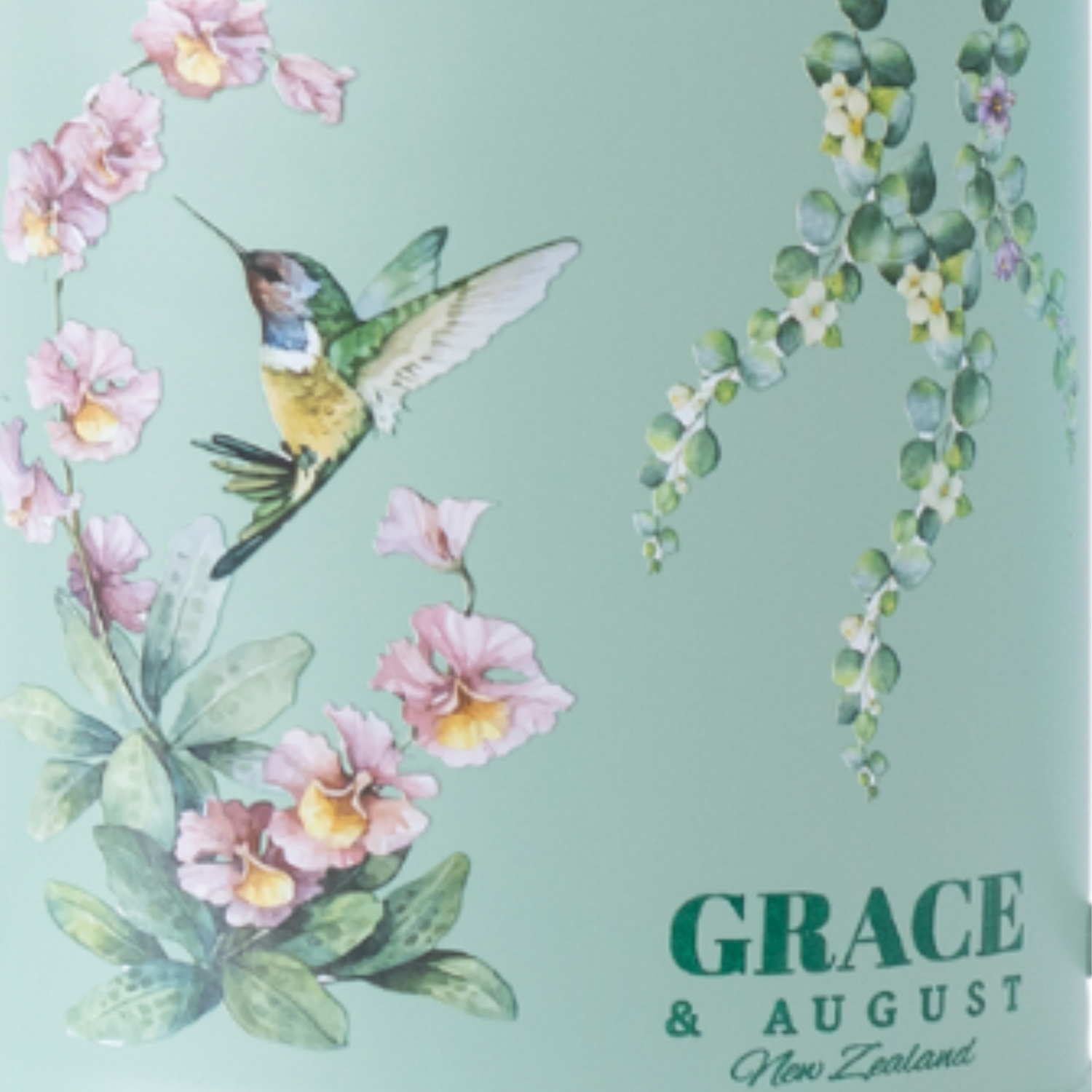 Sage Green Hummingbird Watering Can – 1.5L Stainless Steel Indoor Plant Watering Can