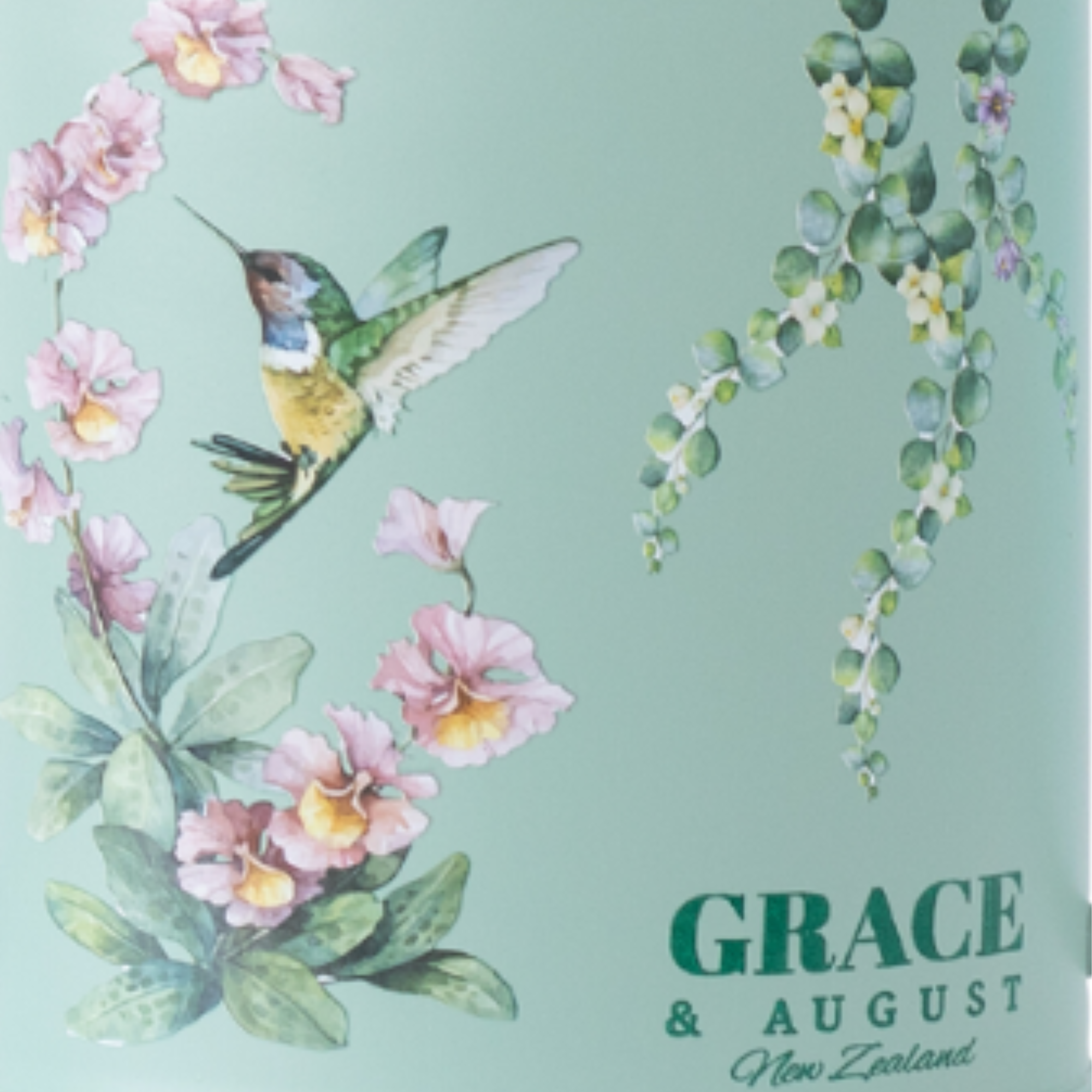 Sage Green Hummingbird Watering Can – 1.5L Stainless Steel Indoor Plant Watering Can