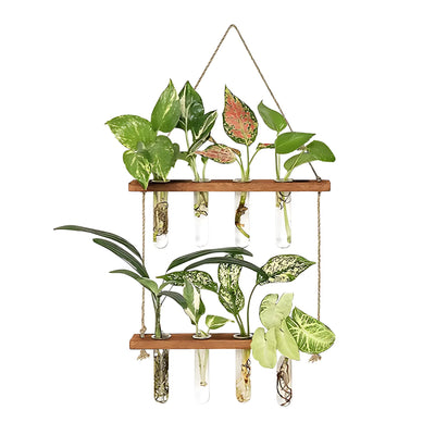 Hanging test tube vase