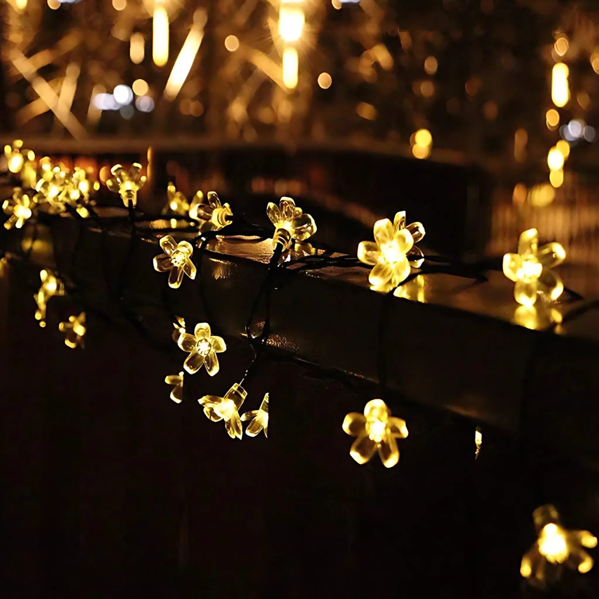 LED solar fairy lights