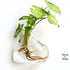 Home Garden Decoration