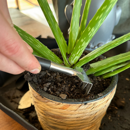 tools for house plants