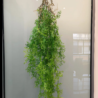 Realistic Hanging Plants for Home