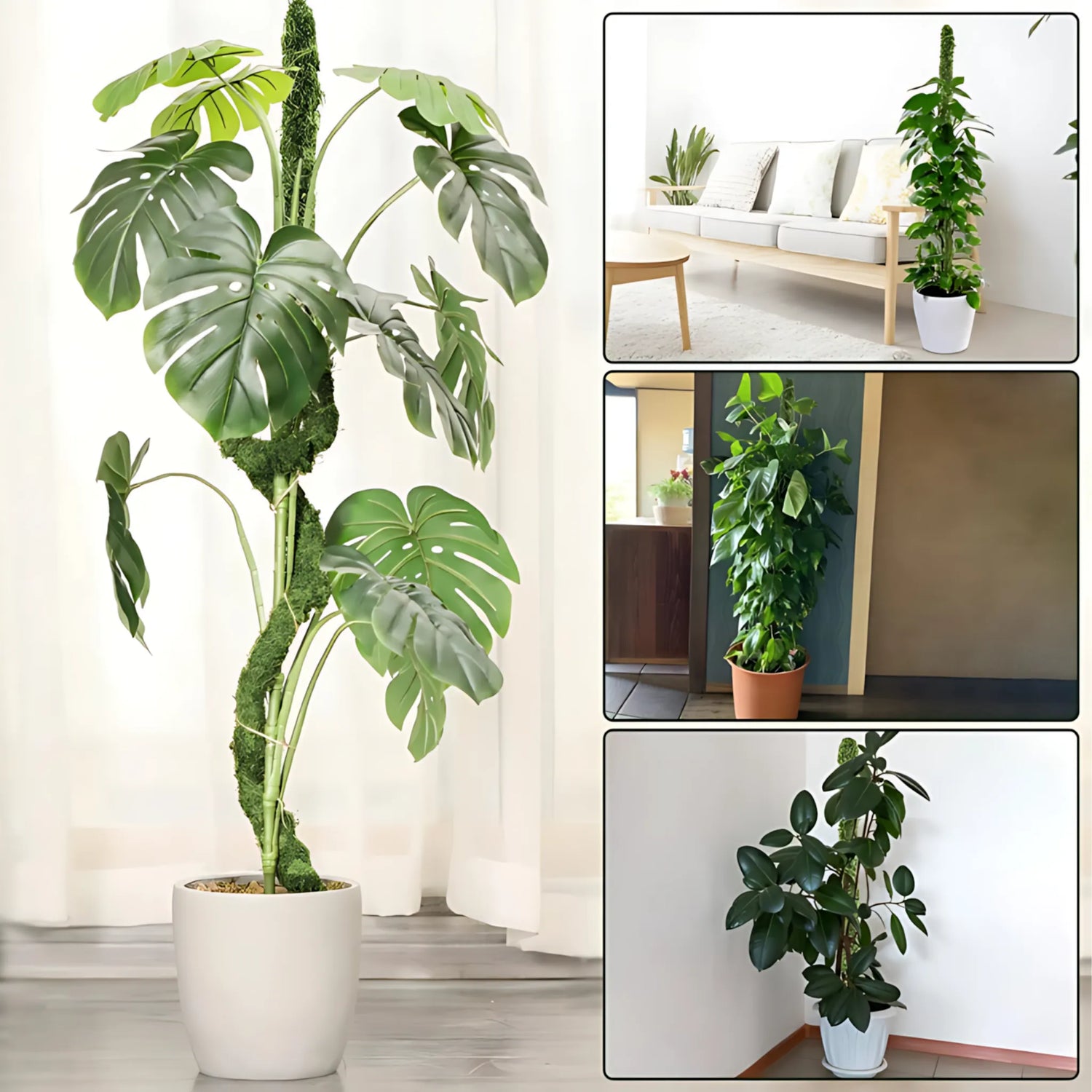 Indoor plant support