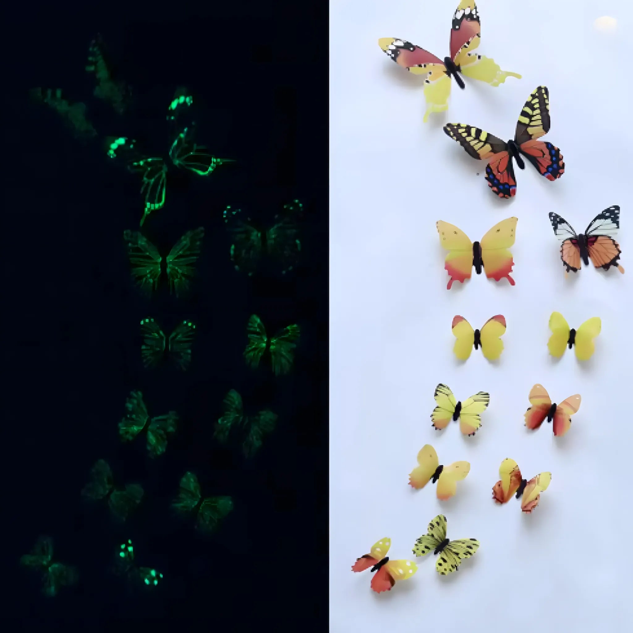 Butterfly Room Decor for Girls or Kids

