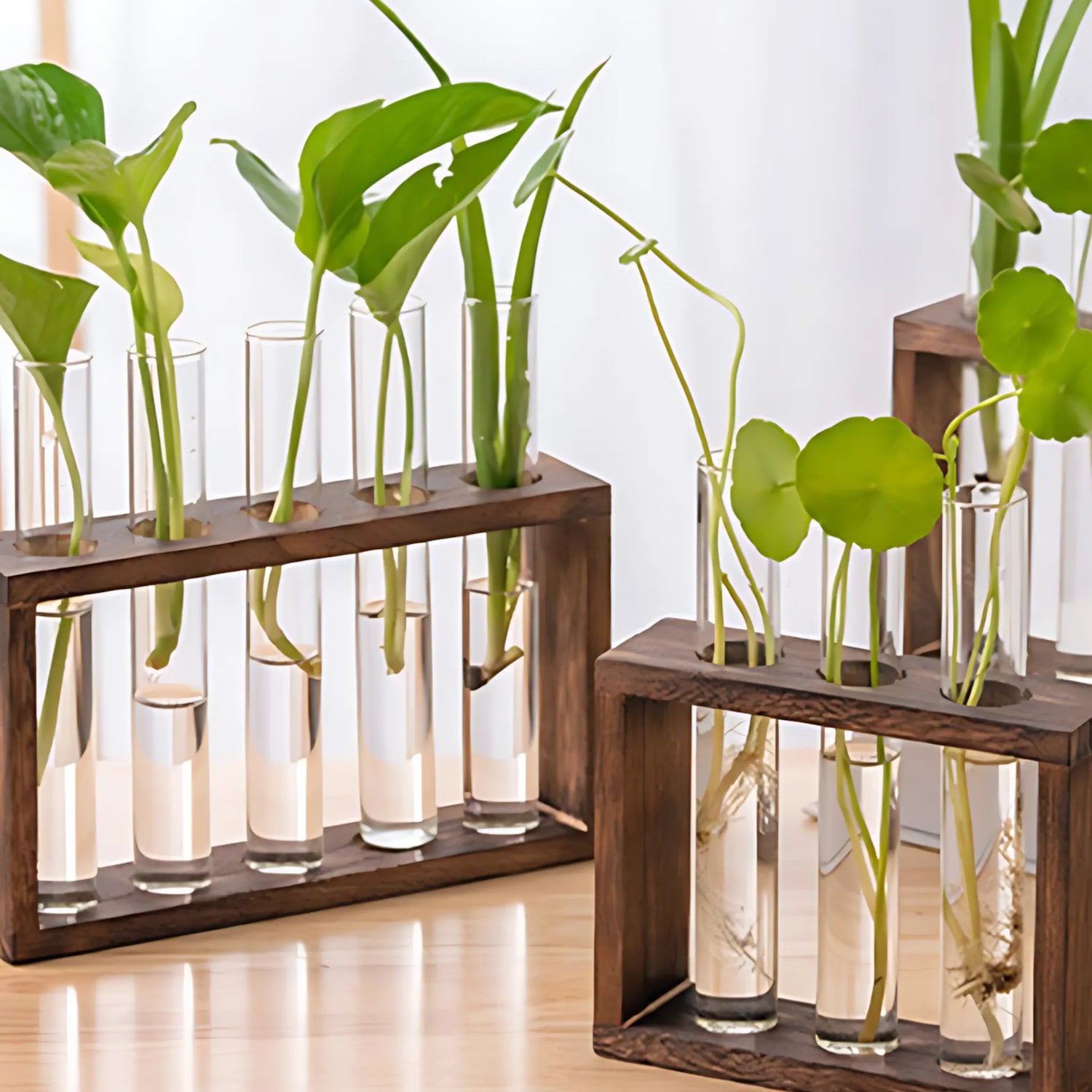 Modern Glass Vases