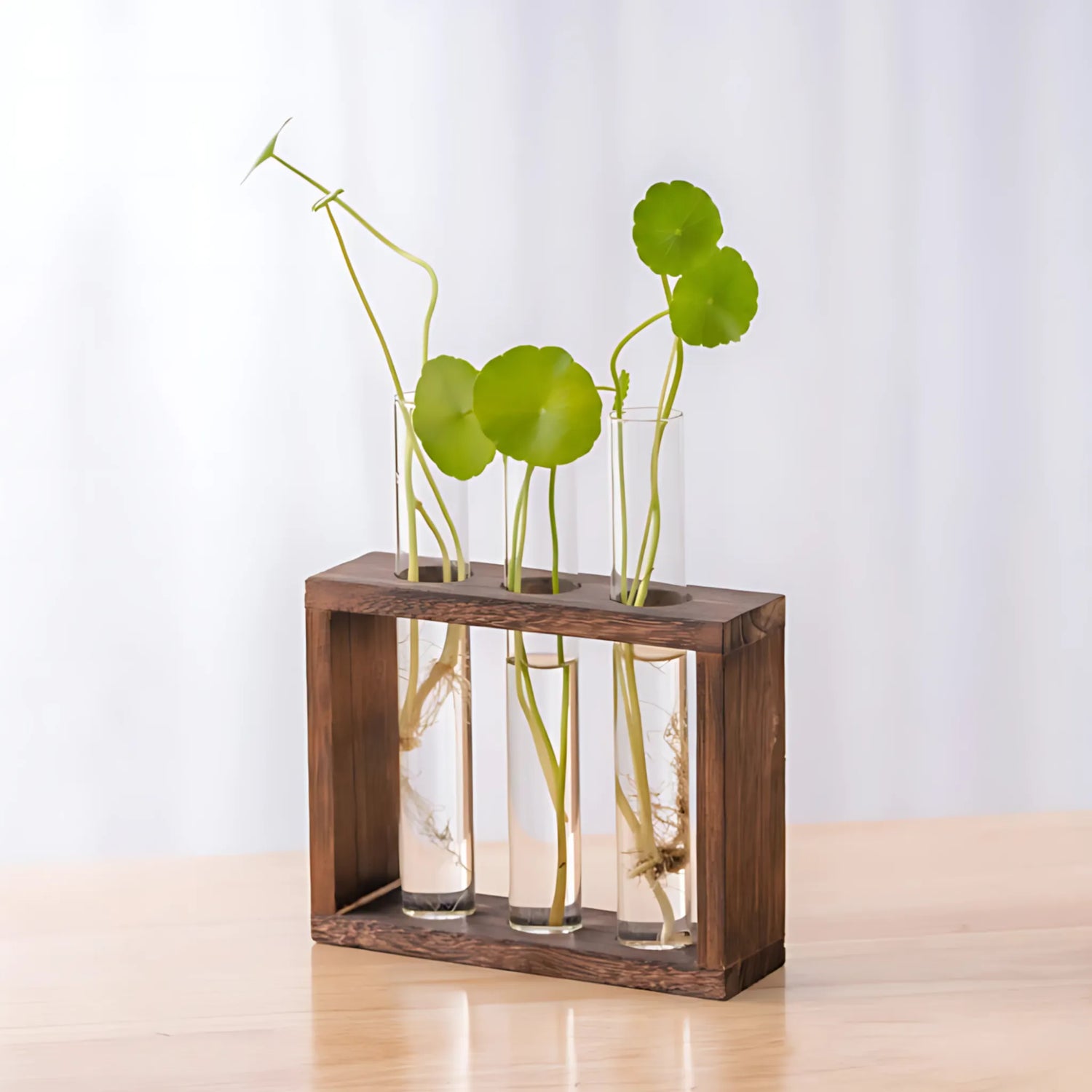 Test Tube Planters