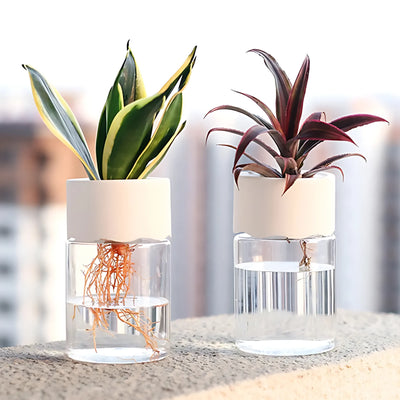 hydroponic flower pot