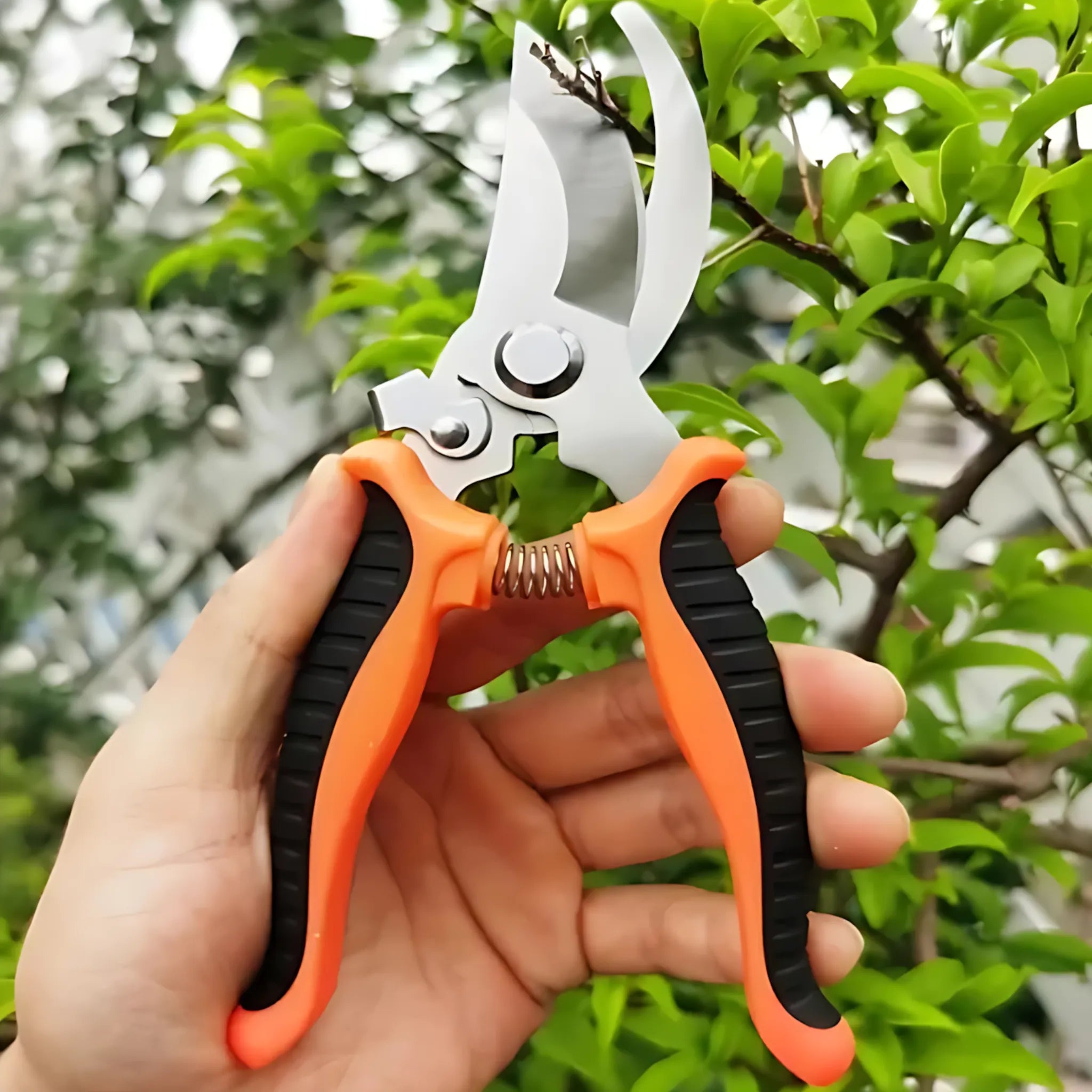 Tree trimmers