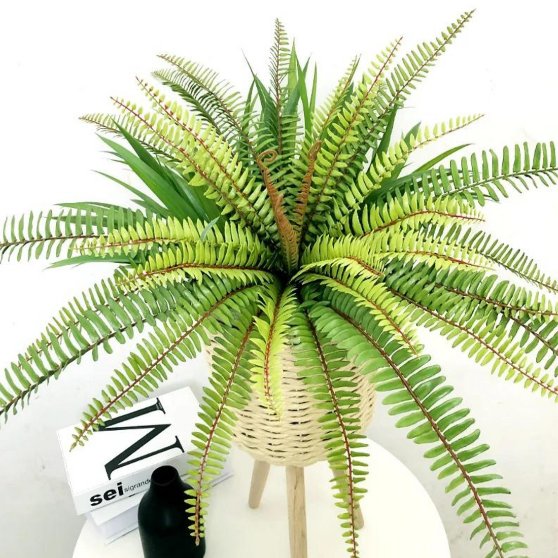 Artificial boston fern 