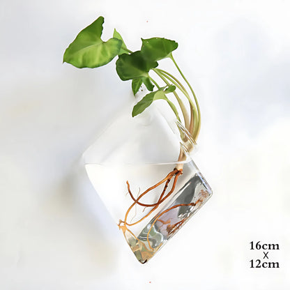 Wall Hanging Glass Vase - Decorative Terrarium for Plants &amp; Flowers