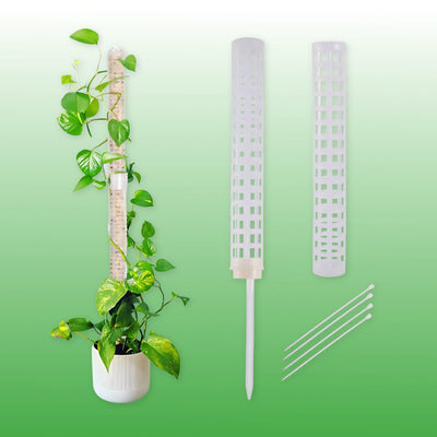 Indoor plant support