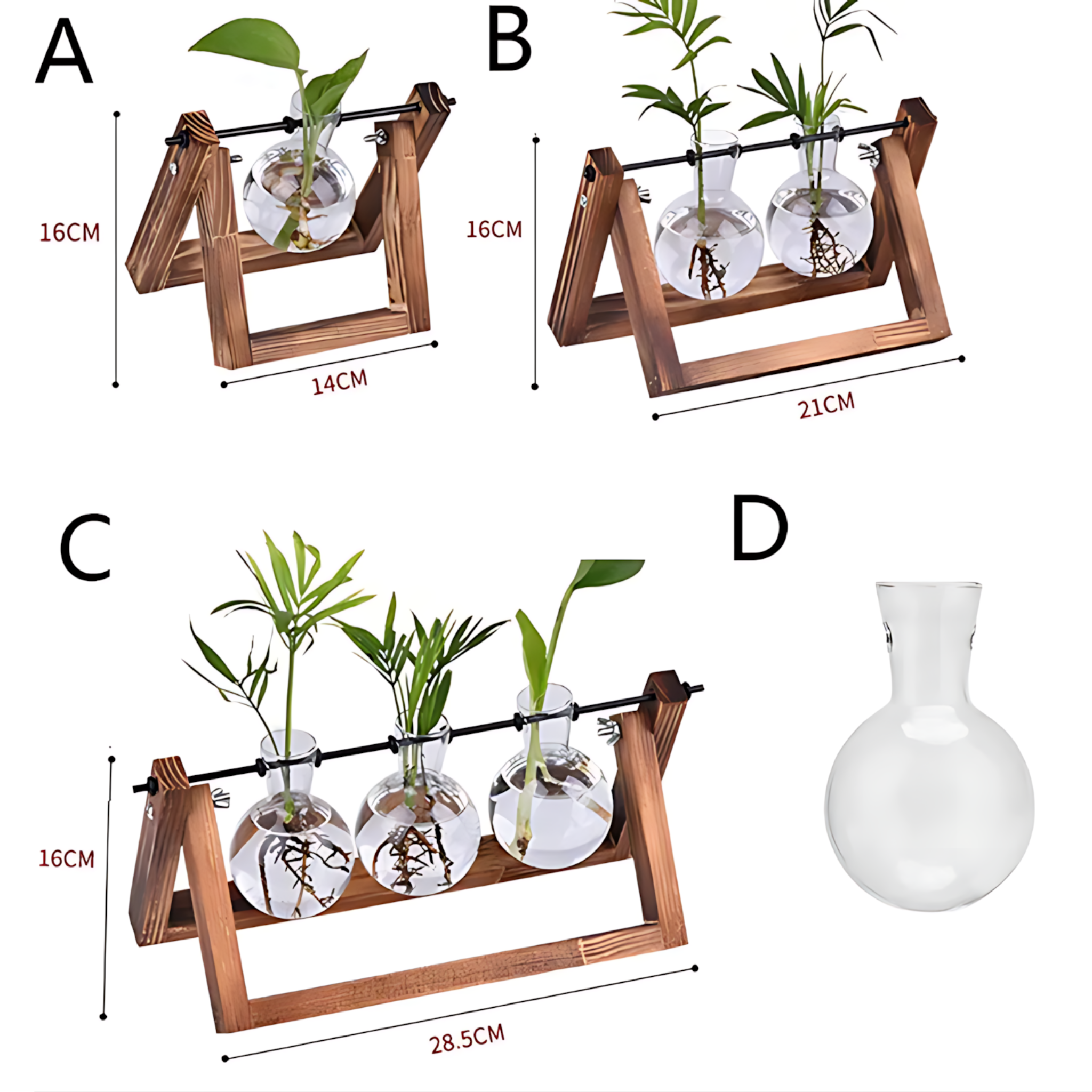 Tabletop plant terrarium