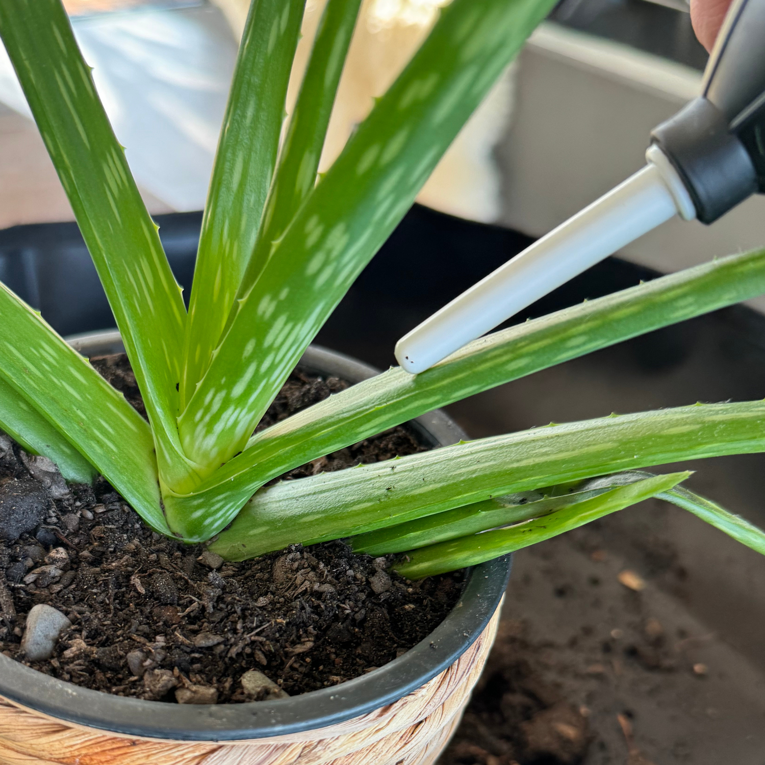 indoor pot plant tools