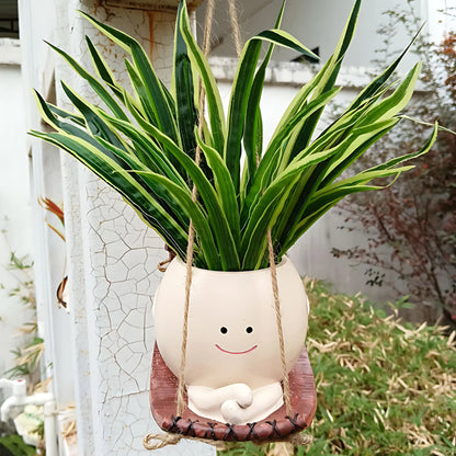 Rocking plant holder