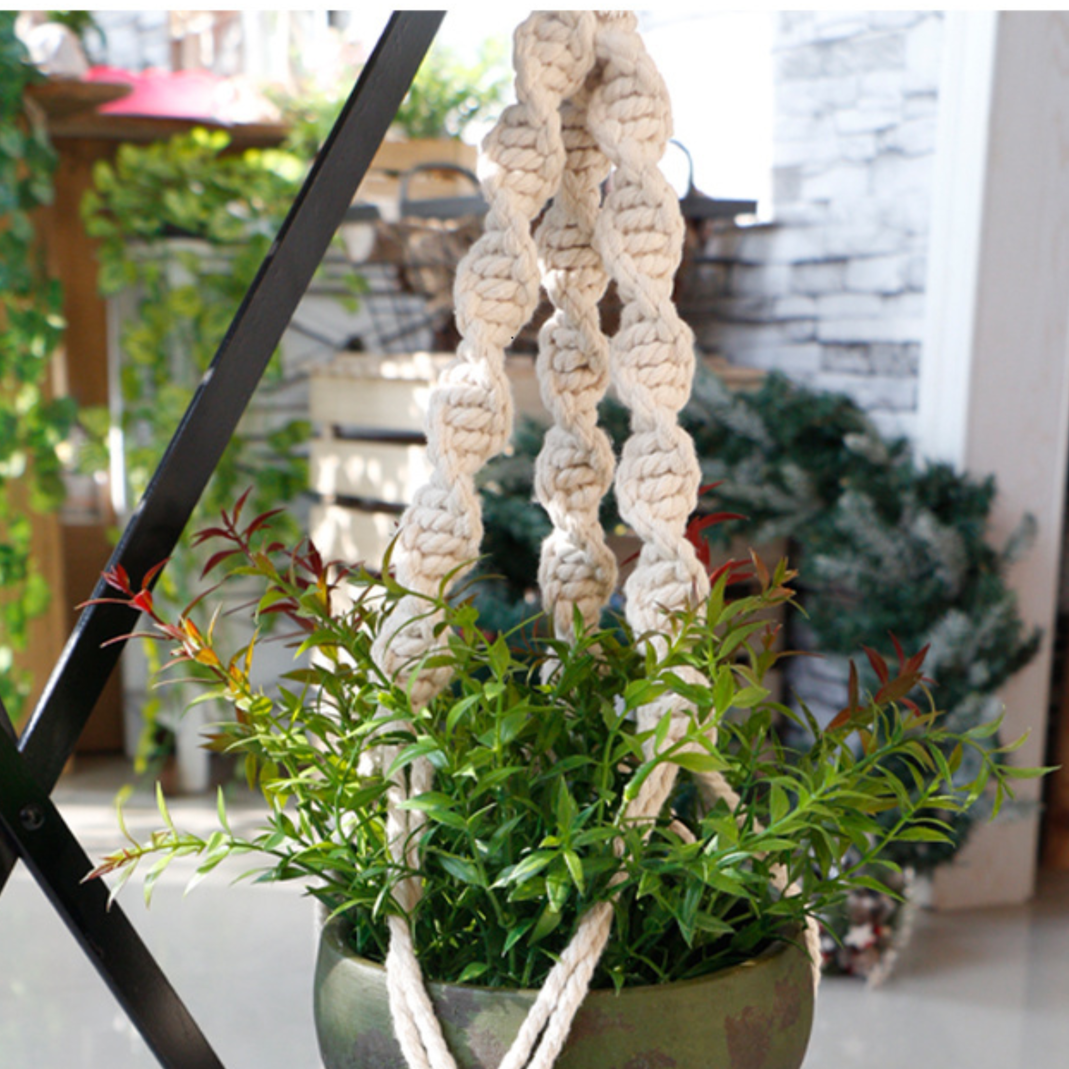 pot plant hanger