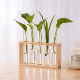 Hydroponic Propagation Vases