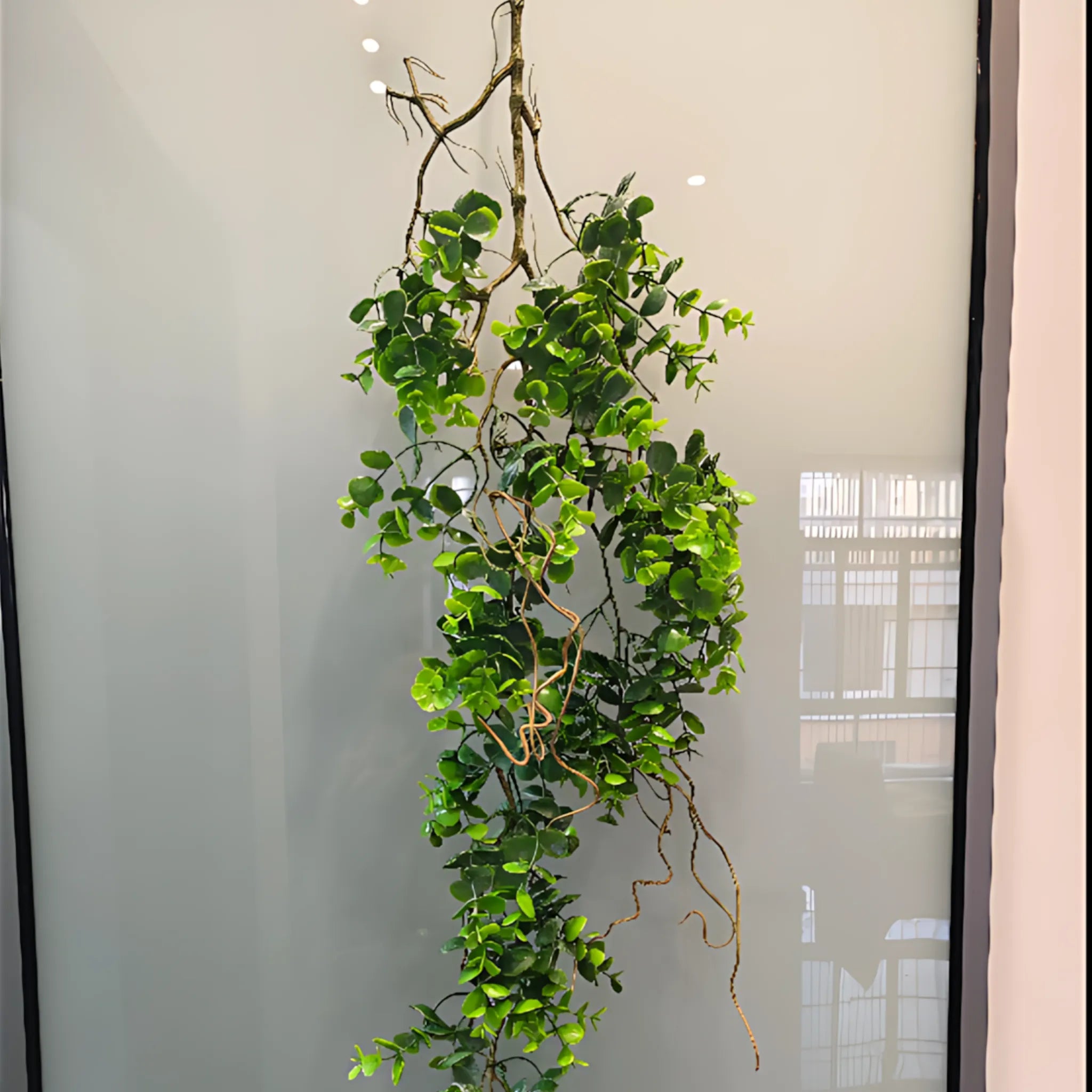 Lifelike Rattan Vines for Indoor Styling
