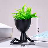 Decorative Desk Plant