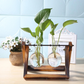 "Versatile Wooden Stand Plant Terrarium – Nature’s Elegance Collection"