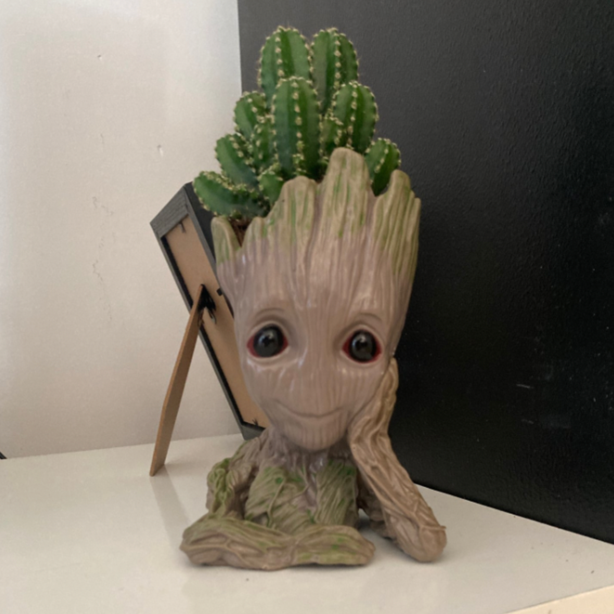 NZ Groot gift ideas 