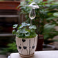  Indoor plant hydration
