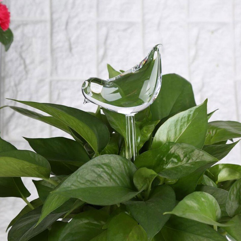  Premium glass watering devices