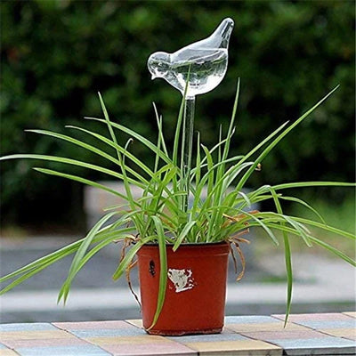 Glass self-watering devices
