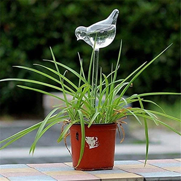 Glass self-watering devices
