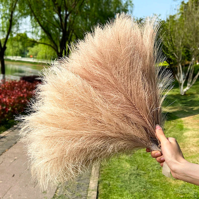 Wedding pampas grass NZ
