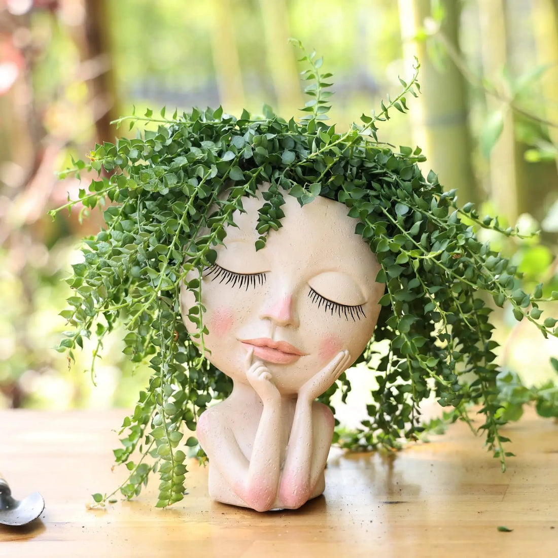 Face flower pot planter
