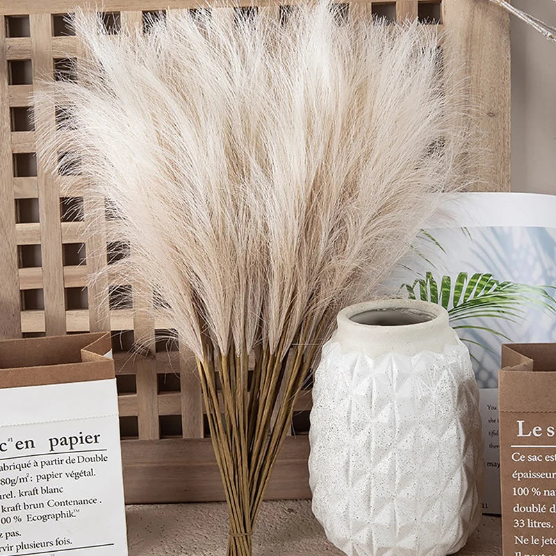 Pampas Grass Stems