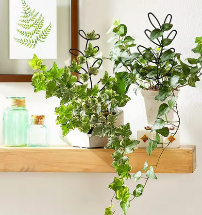 Black Metal Plant Trellis – Minimal Vine Support (Clearance)