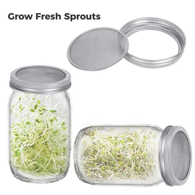 fresh sprout jar kit