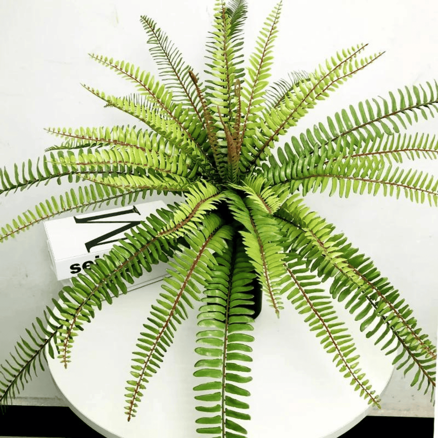 Artifical Lush Tropical Boston Fern- Large, Artificial Plants