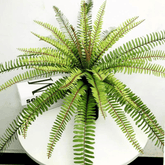 Artifical Lush Tropical Boston Fern- Large, Artificial Plants