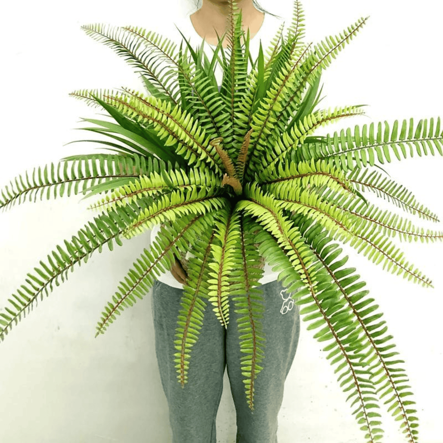 Artifical Lush Tropical Boston Fern- Large, Artificial Plants