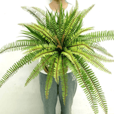 Artifical Lush Tropical Boston Fern- Large, Artificial Plants