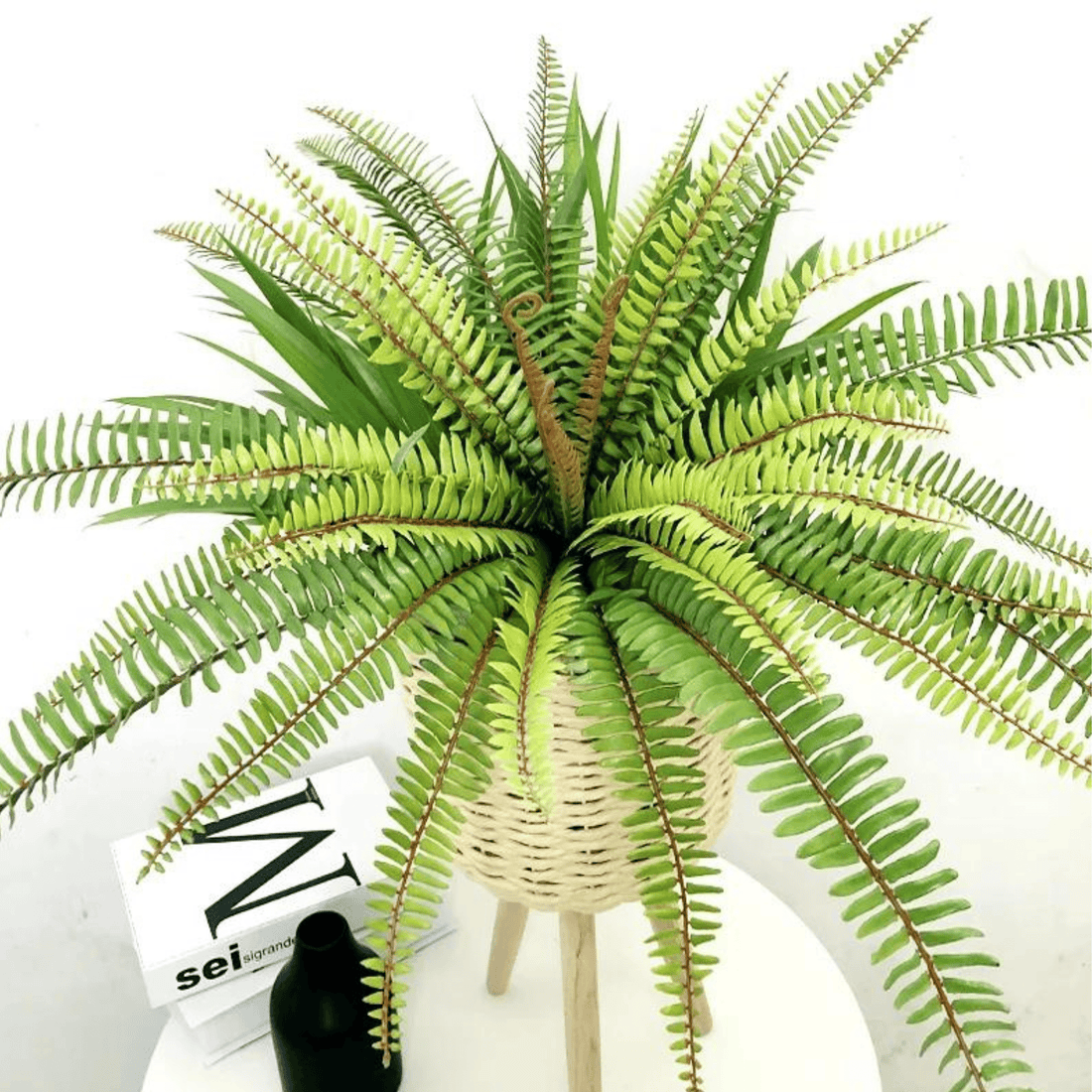 Artifical Lush Tropical Boston Fern- Large, Artificial Plants